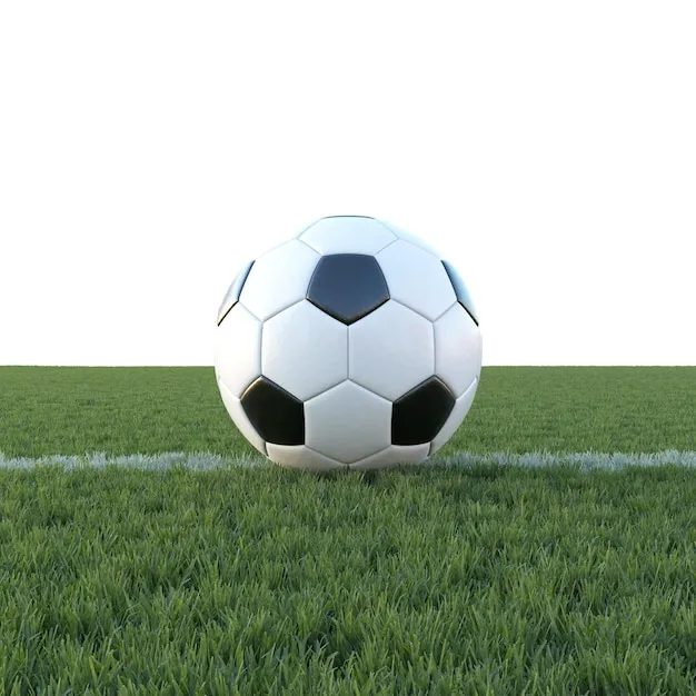 西甲联赛体育 体育赛事背景